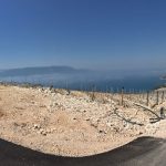 DAVOR MARTINOVIĆ (Terra Madre): Od trgovca pesticidima do ekološkog proizvođača vrhunskog vina