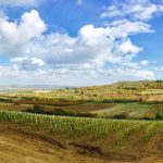 BOJAN BAŠA: Bio je kapetan Tarlaću, Rebrači i Bodirogi, a sada stvara vinski dream team Fruške gore!