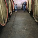 OGNJEN i OZREN JAKOVAC: Nema cijenu nekome osmijeh navući dobrim vinom