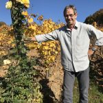 CHRISTIAN ZWICKERT (Vinarija Fazan) – Prnjavor je Francuska kakve nema najmanje 25 godina!