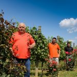 MARINKO MARKOTA – Romantičar u carstvu masnih bećaraca!