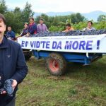 Vina nas uče da čuda ne postoje