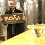 JOSIP TOLJ – Vina kao udžbenik srednjovjekovne Hercegovine