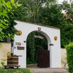 Popis i sadržaj radionica na Festivalu traminca u Iloku