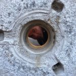 ANTE ANTUNOVIĆ – Kad sve grožđe stavim u bocu i prodam, u vinograd idem s harmonikom!