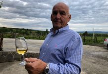 ANTE MILIČEVIĆ – Bilo bi ti najbolje da se objesiš u Mitrovcu!