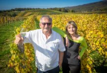 Veliki vinari imaju i velike destilate