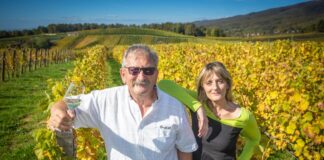 Veliki vinari imaju i velike destilate