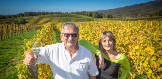 Veliki vinari imaju i velike destilate