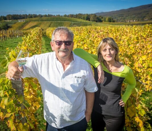 Veliki vinari imaju i velike destilate