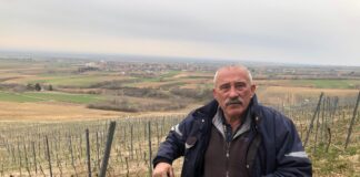 MILORAD MILOŠEVIĆ – Srijemsko-slovenski Istrijan koji je u mirovini otkrio cara Proba u svom vinogradu