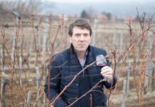 MILORAD JOVIČIĆ (Vinarija Dumo) – Svi u obitelji radimo druge poslove, jer u vinarstvu je lako do cara, a teško do para