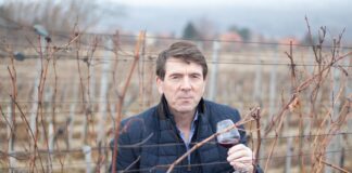 MILORAD JOVIČIĆ (Vinarija Dumo) – Svi u obitelji radimo druge poslove, jer u vinarstvu je lako do cara, a teško do para