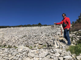 Prva i jedina recenzija poezije Luke Krajančića koju je napisao veliki Luko Paljetak