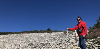 Prva i jedina recenzija poezije Luke Krajančića koju je napisao veliki Luko Paljetak