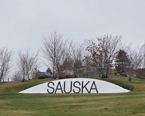 Vinograd kao završni čin uspjeha