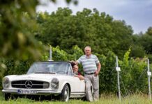 DRAGUTIN i DARKO BRATKOVIĆ: „Projekt belina“ oživljava gotovo iščezlu sortu te iz zaborava vraća cijelu jednu vinsku kulturu