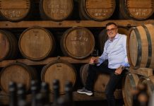 BORIS VUGLEC – Vuglec breg kao zagorska inačica bečkog dvorca Belvedere