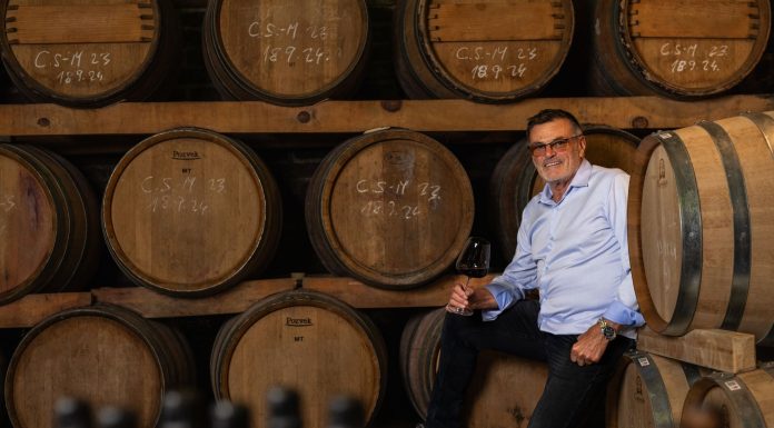 BORIS VUGLEC – Vuglec breg kao zagorska inačica bečkog dvorca Belvedere