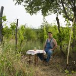 TOMISLAV BRAJNOVIĆ — Vino ne počinje u vinogradu