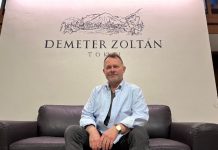 ZOLTÁN DEMETER — Ništa nije slučajno