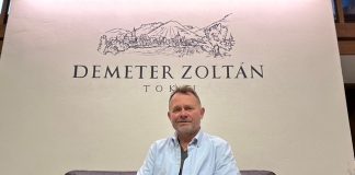 ZOLTÁN DEMETER — Ništa nije slučajno