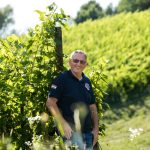 MILIVOJ PREKRATIĆ – Odi ti doma lepo delati u vinograd, vina fina nam radi i – pusti se politike!