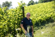 MILIVOJ PREKRATIĆ – Odi ti doma lepo delati u vinograd, vina fina nam radi i – pusti se politike!