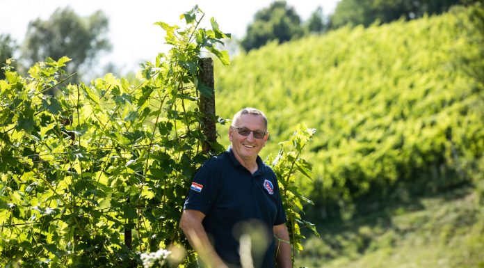 MILIVOJ PREKRATIĆ – Odi ti doma lepo delati u vinograd, vina fina nam radi i – pusti se politike!