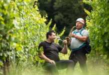 JOSIP i NIKOLA GROZAJ – Pored beline ne treba vam gemišt. A Zagorci vole vedricu vina spiti