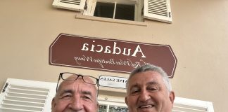 MICHEL MIKE DAVORIN DOBROVIĆ – Sova iznad Stellenboscha