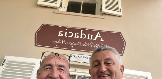 MICHEL MIKE DAVORIN DOBROVIĆ – Sova iznad Stellenboscha