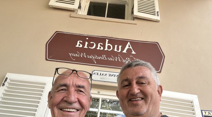 MICHEL MIKE DAVORIN DOBROVIĆ – Sova iznad Stellenboscha