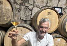 DARIO GAŠPAR: Velika vina iz vinograda u kojem se love ribe