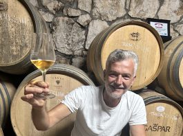 DARIO GAŠPAR: Velika vina iz vinograda u kojem se love ribe
