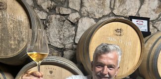 DARIO GAŠPAR: Velika vina iz vinograda u kojem se love ribe