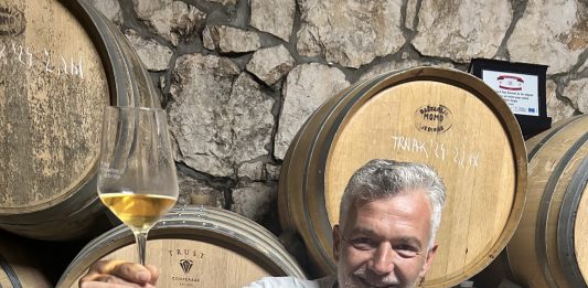 DARIO GAŠPAR: Velika vina iz vinograda u kojem se love ribe