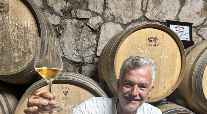 DARIO GAŠPAR: Velika vina iz vinograda u kojem se love ribe