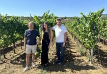NIKICA KATICH: Još nije vinar, a već ima dvije vinarije