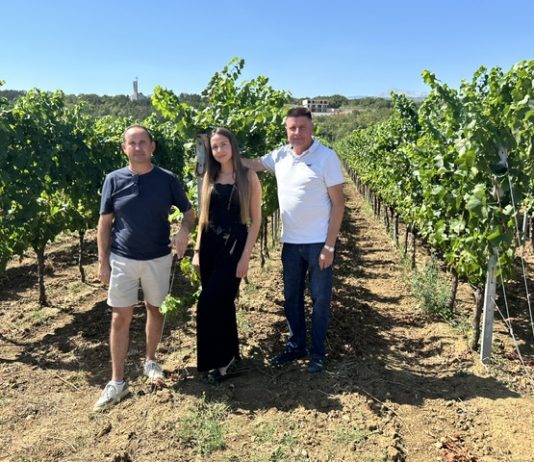 NIKICA KATICH: Još nije vinar, a već ima dvije vinarije