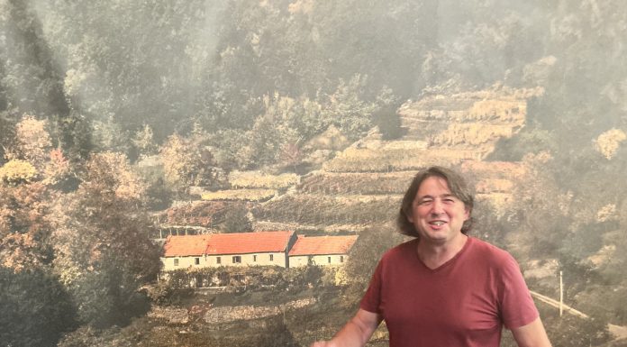 ANTE SOČO: Vino kojemu ni kapula nije mogla ništa